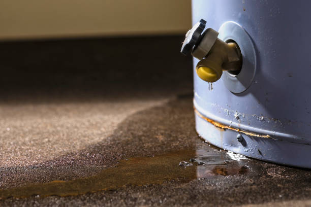 Best 24/7 water damage repair  in Albion, NY