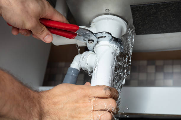 Best Water damage cleanup near me  in Albion, NY
