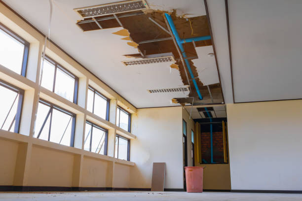 Best Residential water damage restoration  in Albion, NY