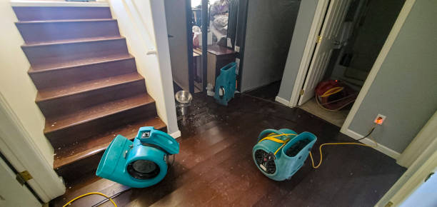 Best Carpet water damage restoration  in Albion, NY