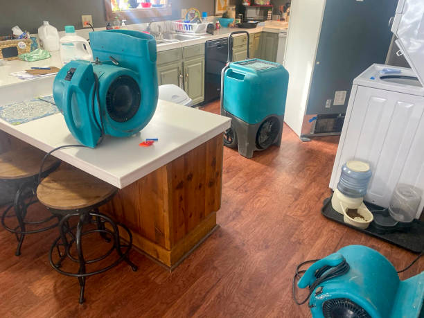 Best 24-hour water damage restoration  in Albion, NY