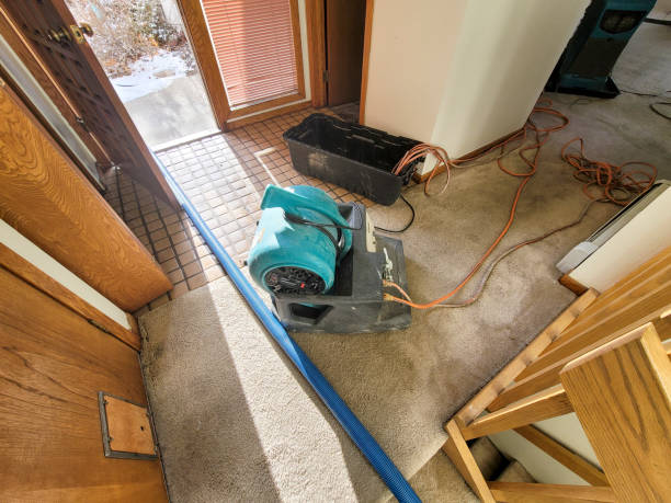 Best Emergency water extraction  in Albion, NY