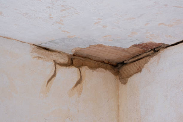 Best Commercial water damage restoration  in Albion, NY