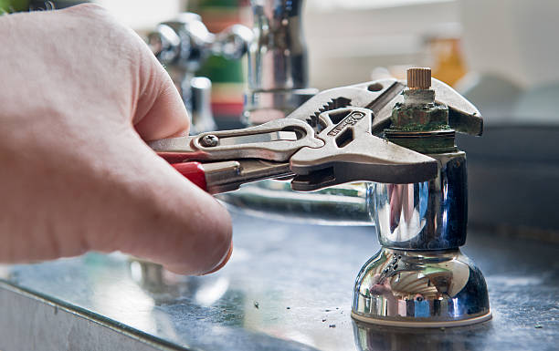 Best Flooded house restoration  in Albion, NY
