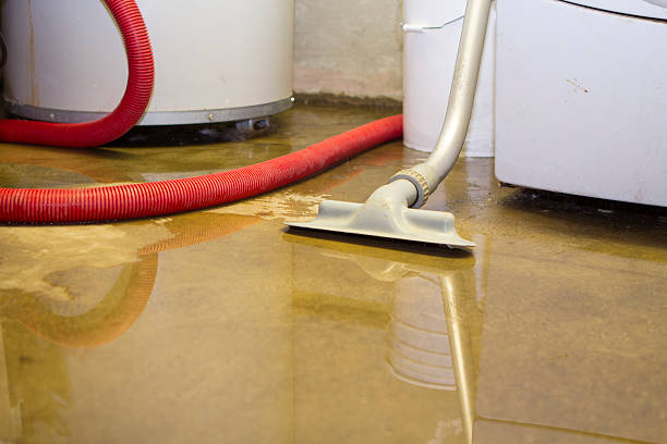 Best Fire Damage Restoration  in Albion, NY
