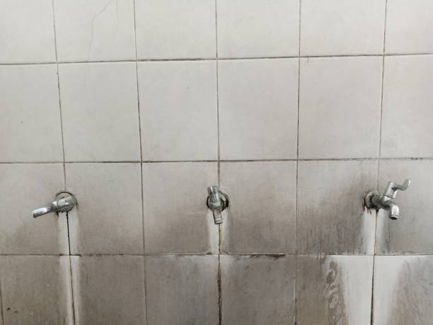 Trusted Albion, NY Water damage restoration Experts
