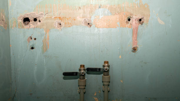 Best Flood restoration services  in Albion, NY