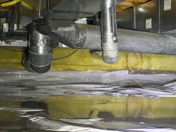 Best 24/7 water damage repair  in Albion, NY
