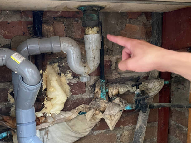 Best Water damage restoration services  in Albion, NY