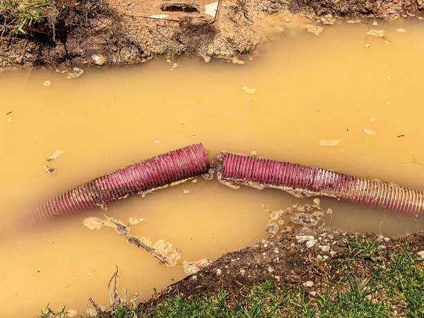 Best Local water damage restoration  in Albion, NY